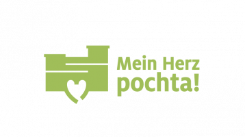 Stadt Trier - Fanlogo